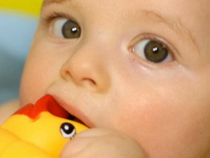 rubber ducky baby.web2